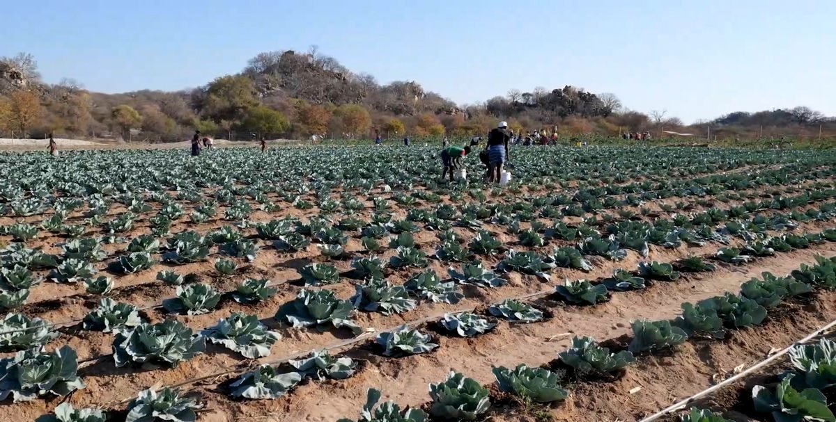 Irrigation & Agriculture
